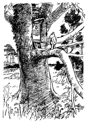 A picture shows Pooh, standing in front of Owl's front door up in a branch in a big old tree, studying the notices.