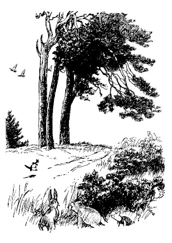 A drawing to start chapter 7 shows Rabbit, Pooh, and Piglet looking out across a field toward some tall trees. A Strange Animal is hopping away down a path by the trees.