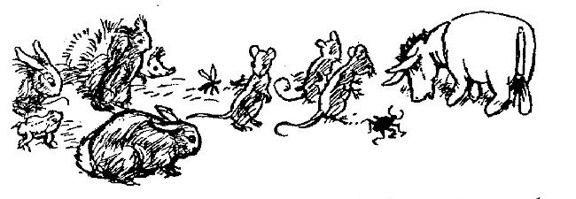 In this drawing, Eeyore is eyeing Rabbit and all Rabbit's Friends and Relations. There are mice, rabbits, a hedgehog, a frog, a squirrel, a dragonfly and even a big black beetle.