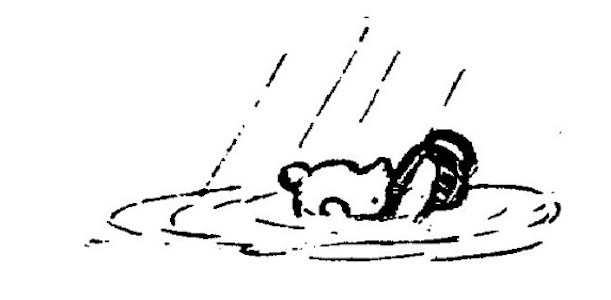 In the drawing, Pooh's head is above the water, he's clutching his last jar of honey.